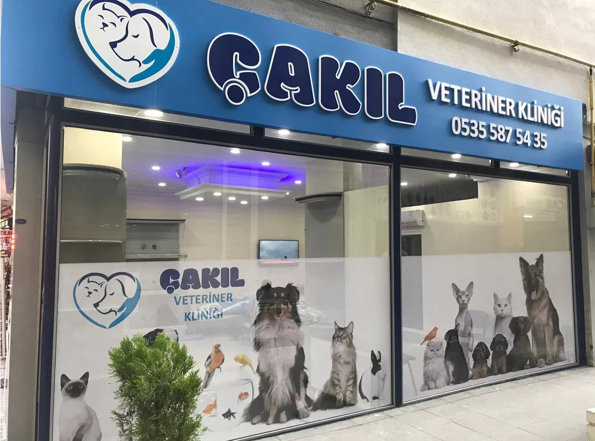 Veteriner Tabelası, Veteriner kliniği tabelası, veteriner tabela,veteriner tabela yönetmeliği,veteriner tabelaları,veteriner hekim tabela,veteriner ışıklı tabela,veteriner kliniği tabela,veteriner klinik tabela,veteriner led tabela,veteriner v tabela